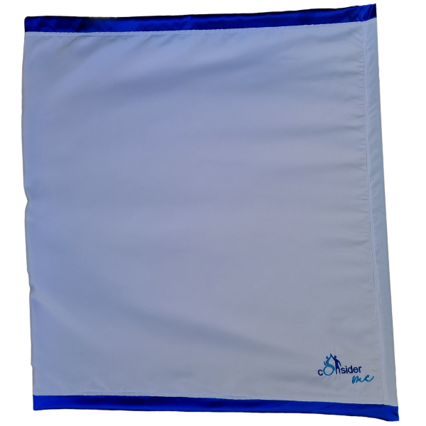 Easy move sleep aid - slide sheet